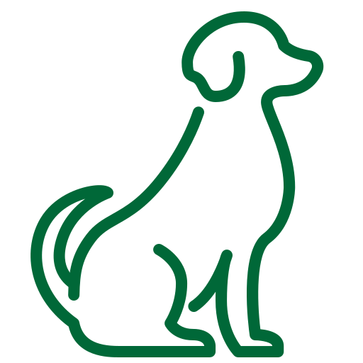 A green line icon of a dog.